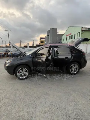 Lexus RX 350 2010 Gray