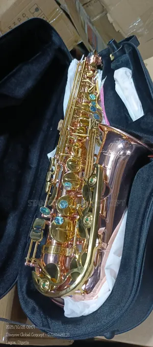 Conn Selmer Alto Saxophone
