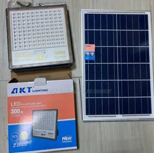 300watts Aktflood Light