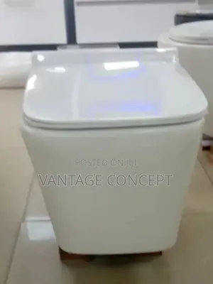 Italian Made Conceal Wc