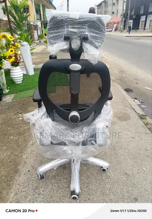 Executive Ergonomics Office Chair