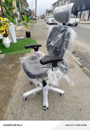 Executive Ergonomics Office Chair