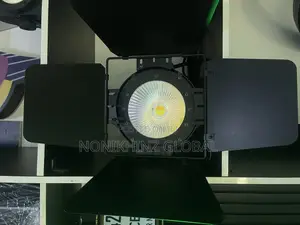 100watt Cob