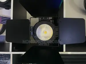 100watt Cob