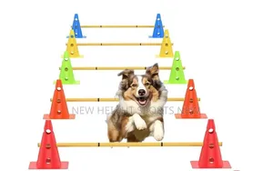 Agility Training Hurdle Cone
