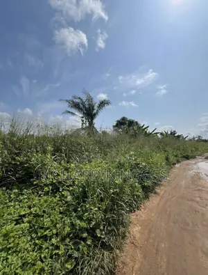 4 Plots of Land for Sale at 10m Can Be Sold as 2 Plots Each at 5m a Pair