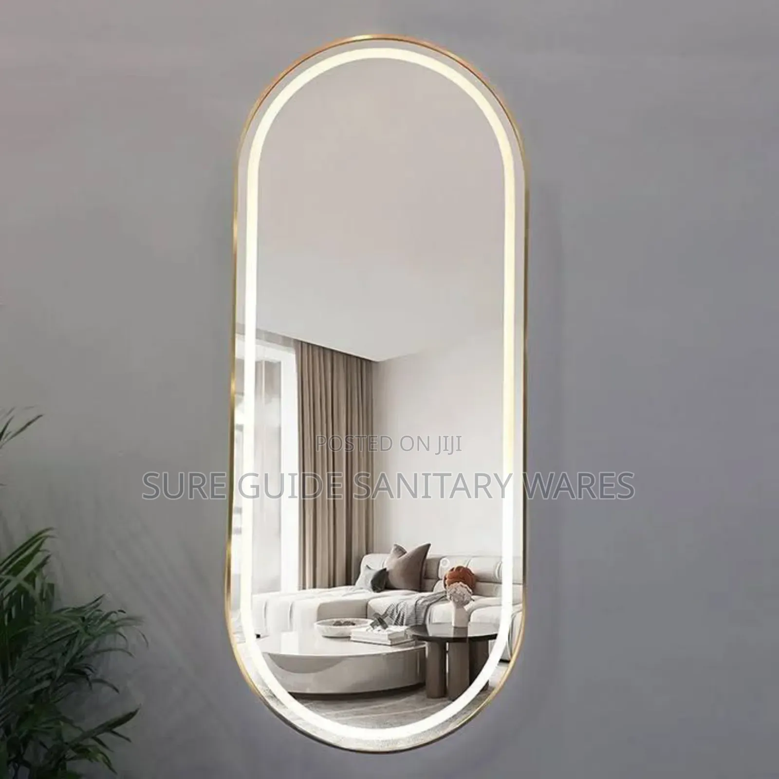 Gold Frame Dressing Mirror