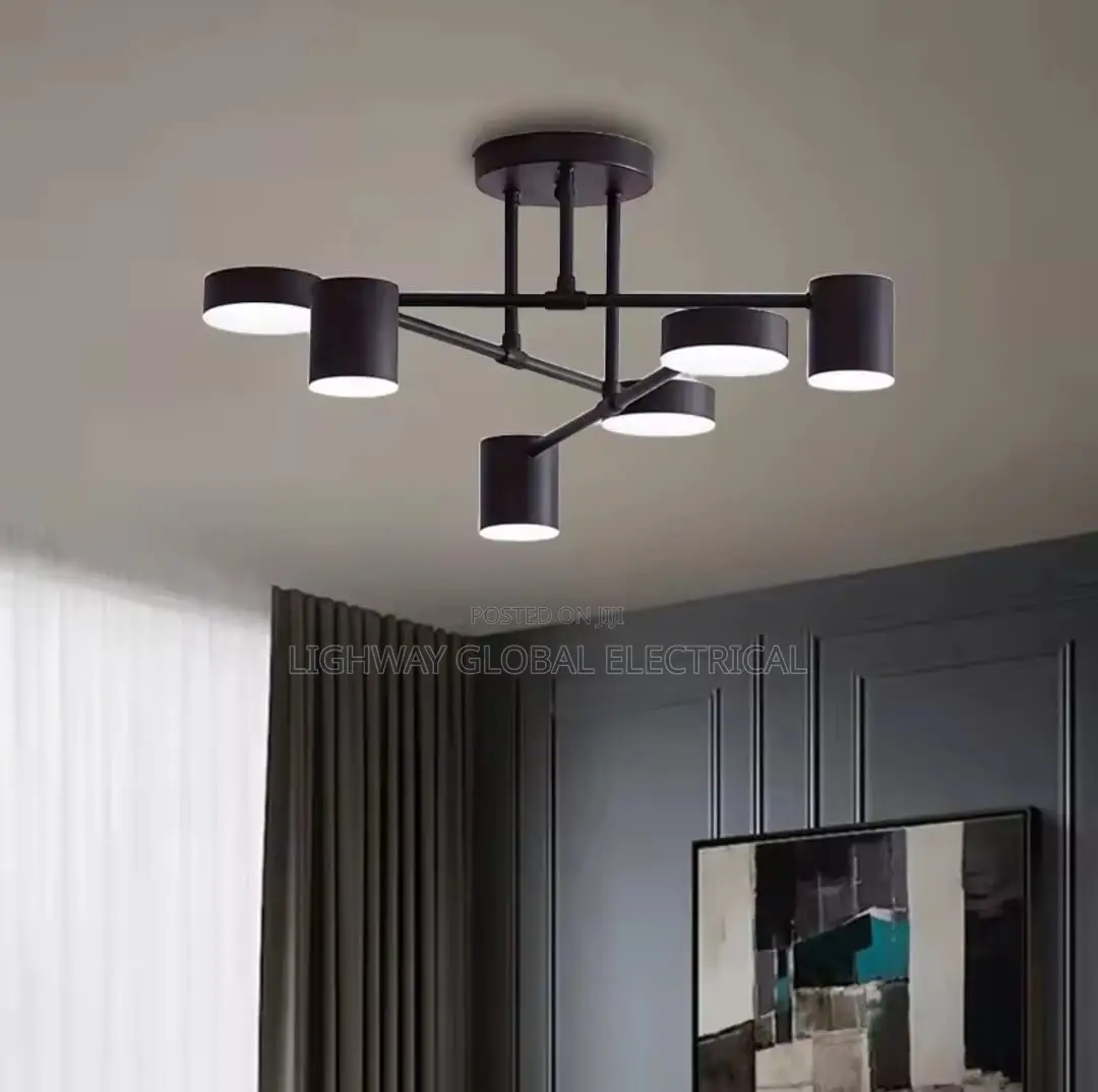 Nordic Modern Ceiling Black Led Ceiling Fitting Light