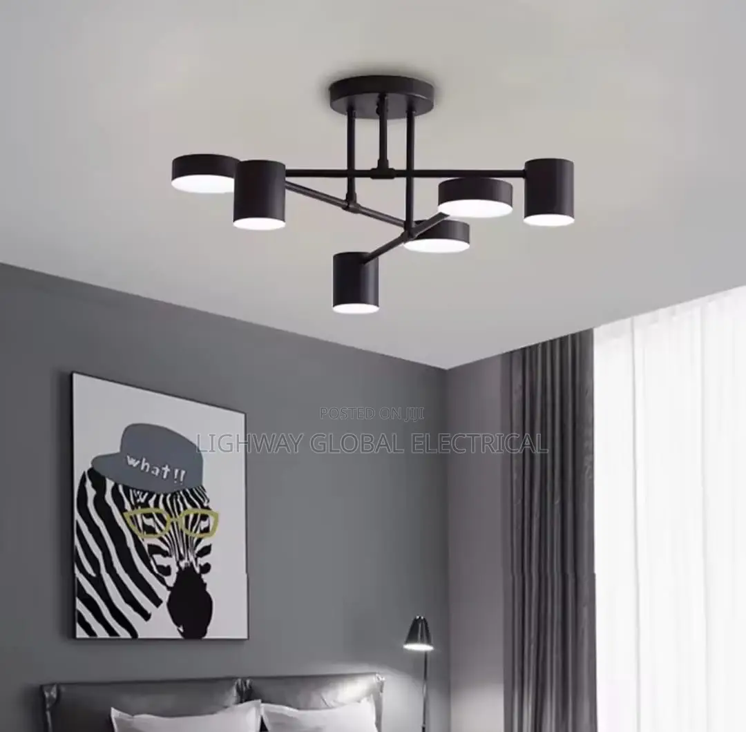 Nordic Modern Ceiling Black Led Ceiling Fitting Light
