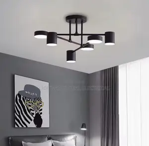 Nordic Modern Ceiling Black Led Ceiling Fitting Light