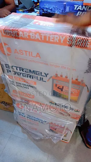 Castilla Tubular Battery