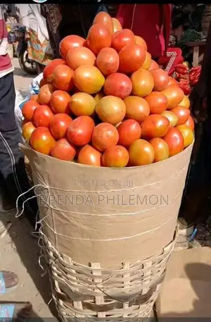 Fresh Veggies