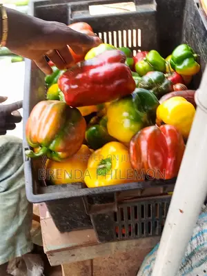 Fresh Veggies