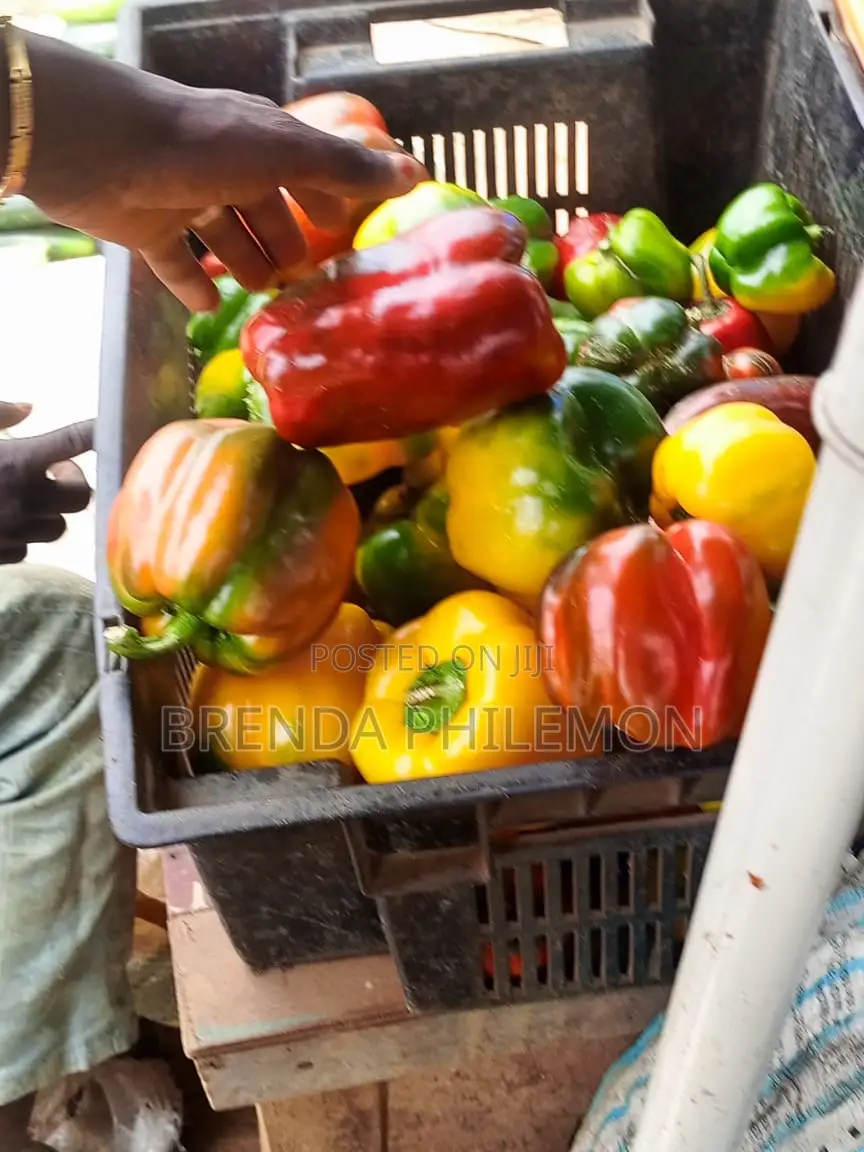 Fresh Veggies