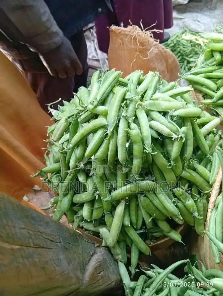 Fresh Veggies