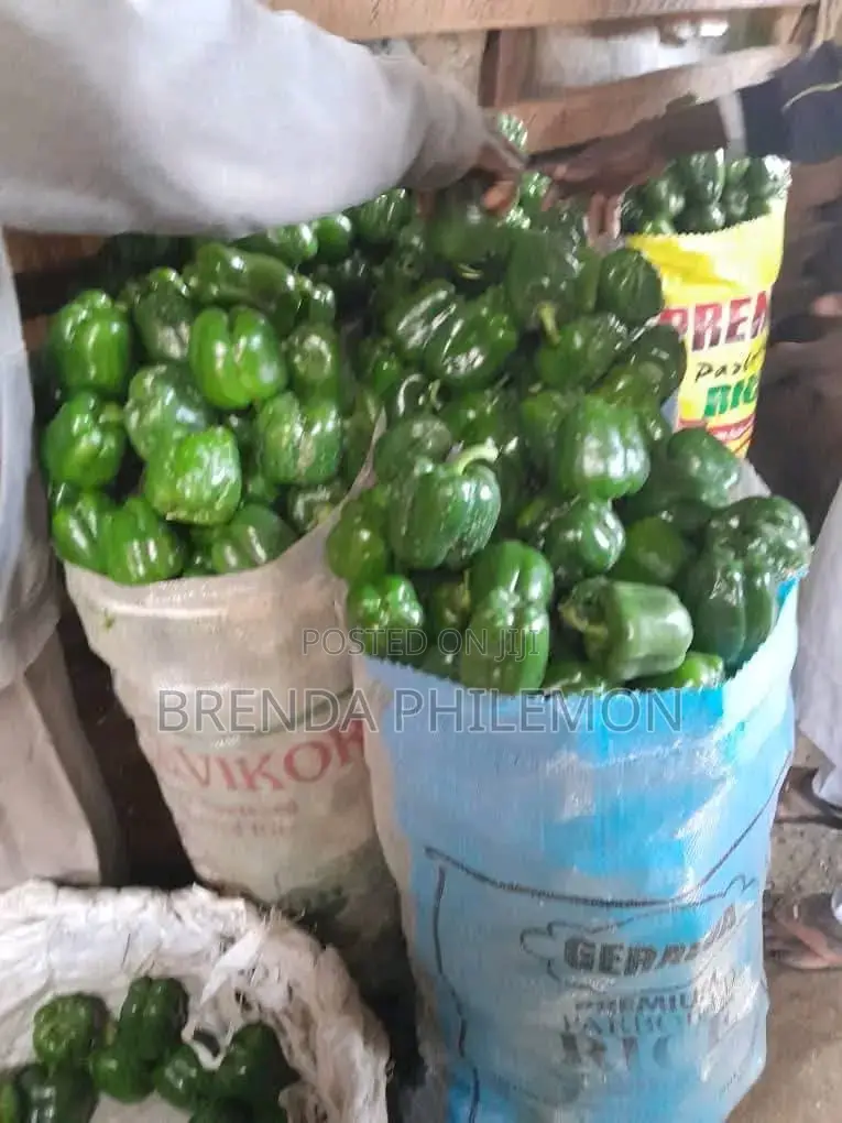Fresh Veggies