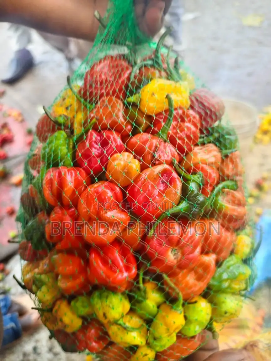 Fresh Veggies