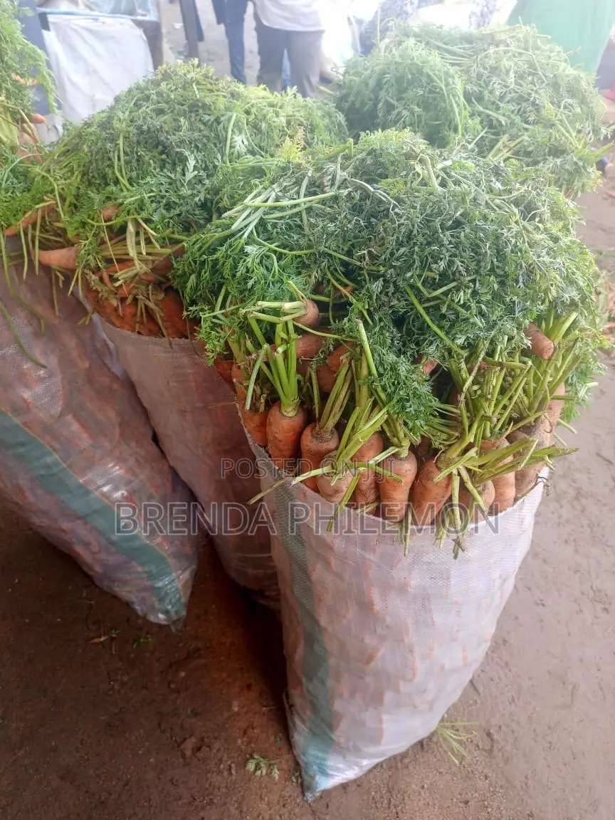 Fresh Veggies