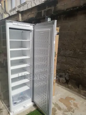 Haier Thermocool Upright Freezer 250l