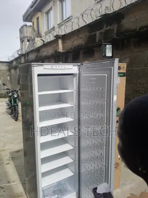 Haier Thermocool Deep Freezer Upright Model