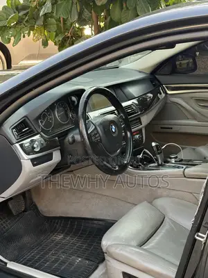 BMW 528i 2011 Gray
