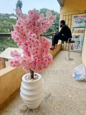 Blossom Flower And Vase.