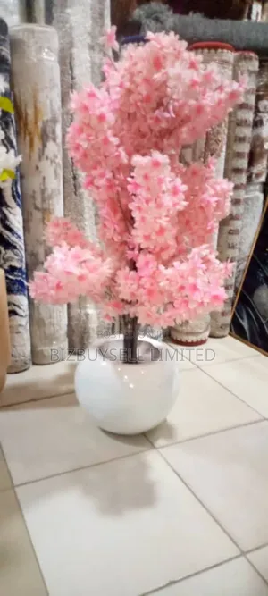 Blossom Flowers And Small Vase.