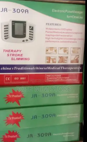 Electronic Pulse Massager