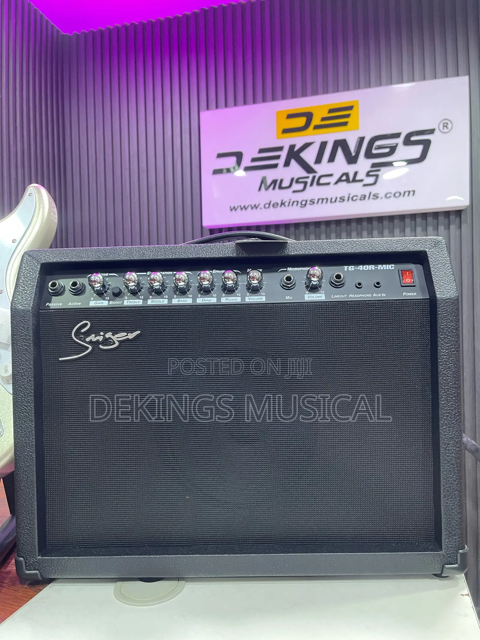 Smiger Tg-40r-Mic Lead Guitar Combo Amplifier