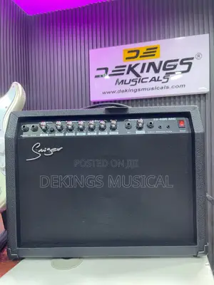 Smiger Tg-40r-Mic Lead Guitar Combo Amplifier