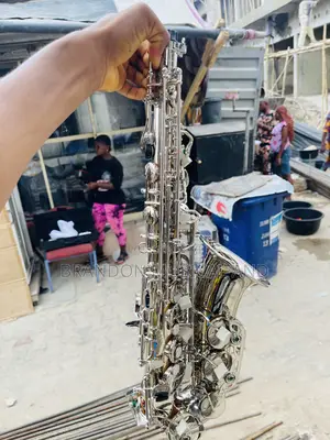 Standard Japan High Quality Alto Saxophone Silver