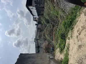 A Complete Half Plot of Land in a Serene Environment