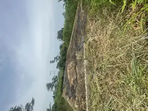 A Full Plot of Land (60/120).