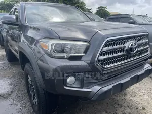 Toyota Tacoma TRD Off Road 2019 Gray