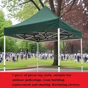 Pup Up / Canopy Foldable Tent (10 X 10)