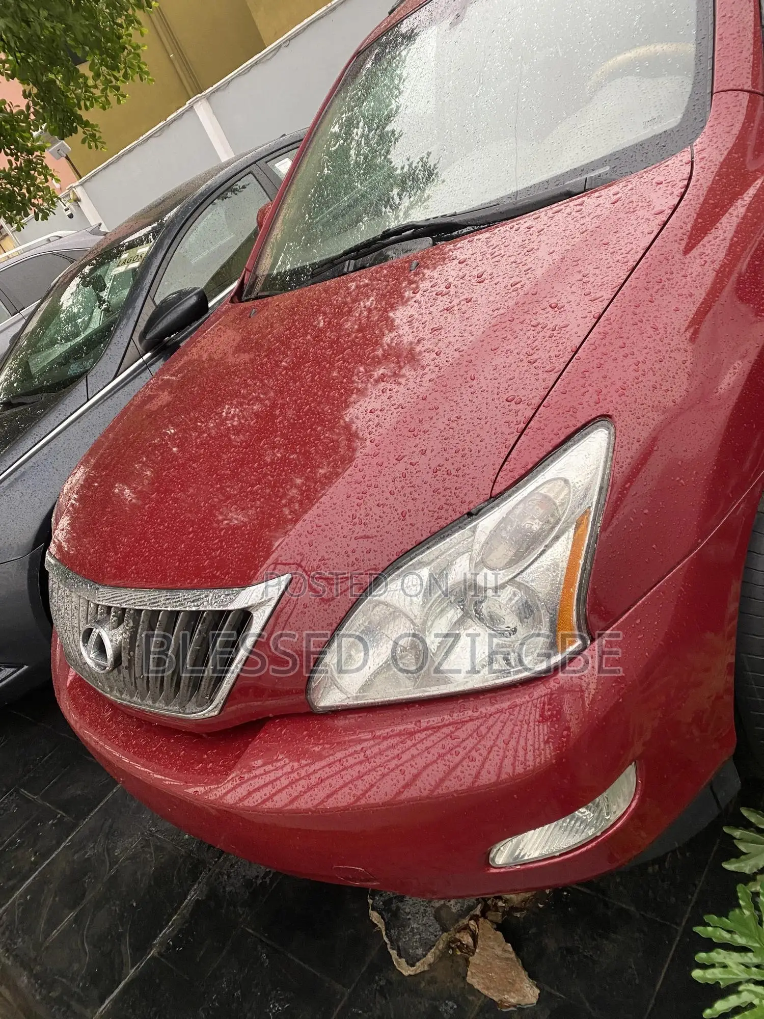 Lexus RX 2009 Red