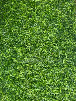 Modern Artificial Grass Carpet (25mm - 50mm)