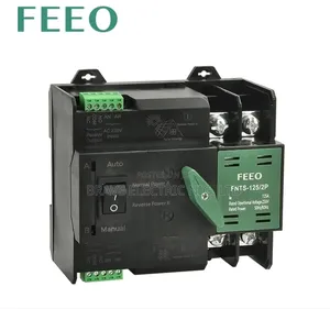 Feeo 2p 125a Automatic Transfer Swicth Solar