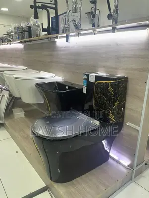 Premium Black Gold Toilet Seat With Conceal Basin