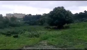 Jv(Join Venture) to Sale 7788sqm of Empty Land at Garki Abuja