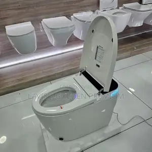 Smart Sensor Water Closet