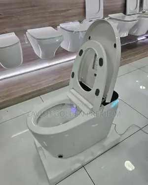 Smart Sensor Water Closet