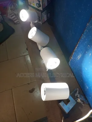 White Body Double Light 3in1 Light