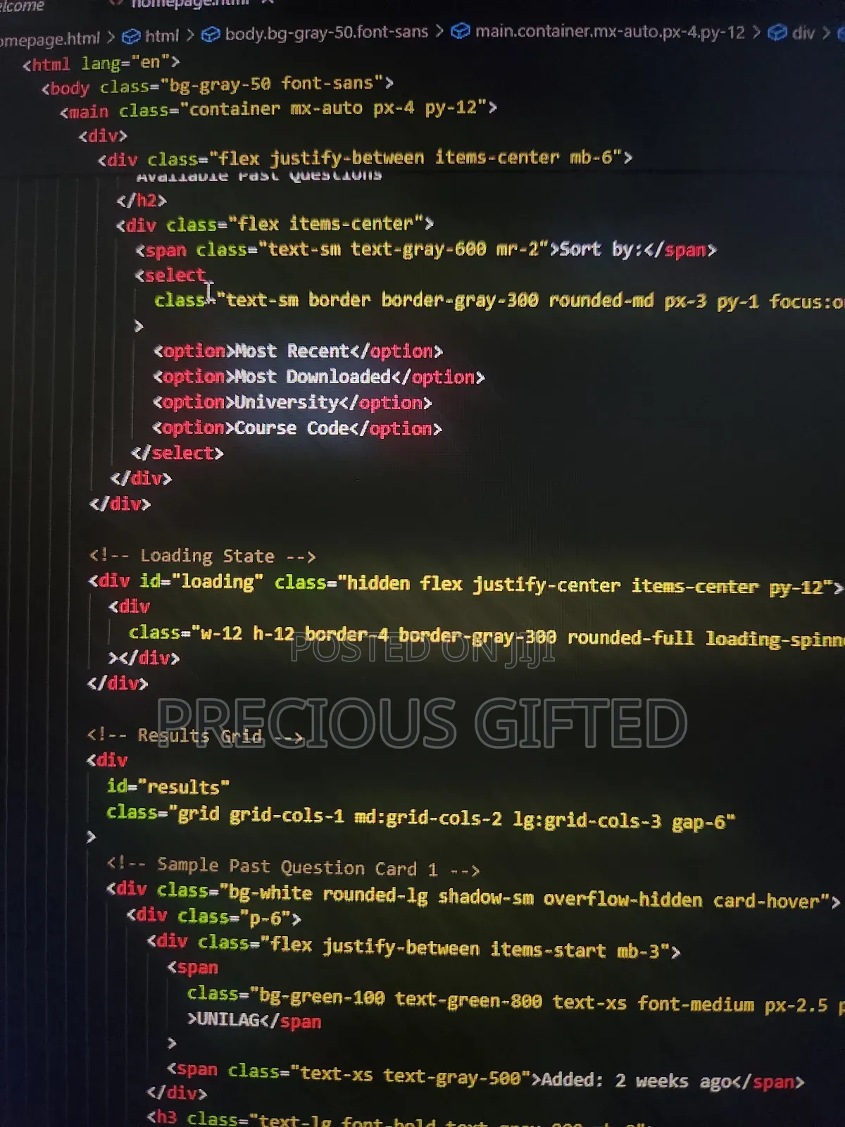 Web Developer