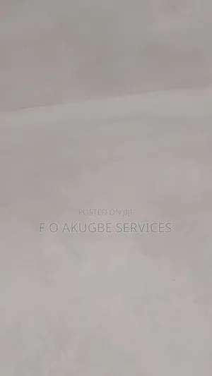 Lime Wash Decorative Design Pro