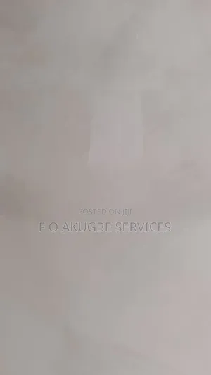 Lime Wash Decorative Design Pro