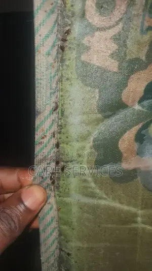 Crowncare Professional Bedbugs Fumigation