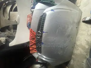 Toyota Matrix 03/05 Boonet (Hood)