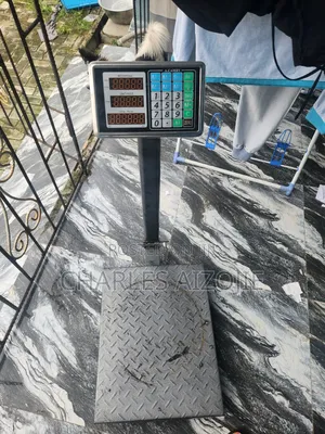 Camry Scale