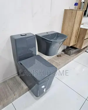 Gray Close Couple Toilet Seat With Wash Hand Basin